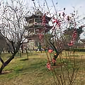 XL知足常乐头像