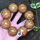 之恋头像