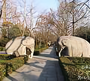 前无后无头像