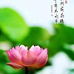 小艾护家头像