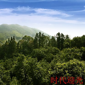 自然3320头像