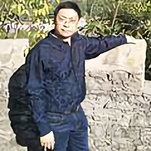 全民视察头像