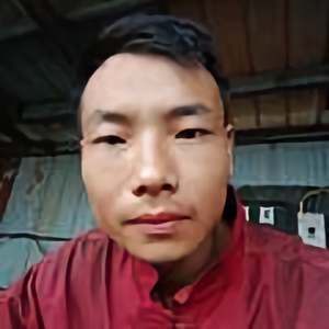 阿振哥拍着玩头像