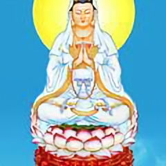 一帆风顺975头像