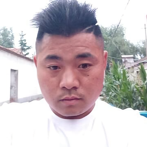 董磊头像