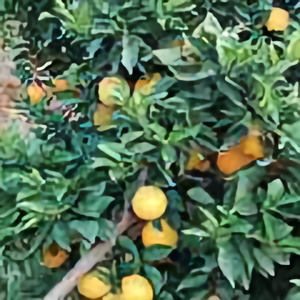 源通长江头像