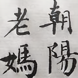 朝阳老妈头像