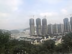 阿春在广州头像