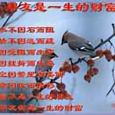 飞行026头像