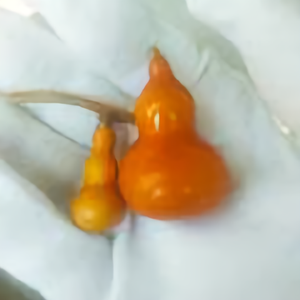 郁闷啊11头像