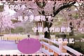 糖ai卟甜123头像