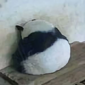 CBC4头像