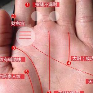 莫师傅手纹命理学头像