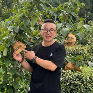 山里辣椒飞哥头像