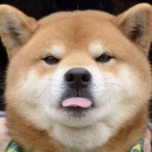 小米碎大石头像
