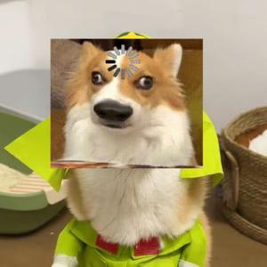 蛋蛋红如温ik头像