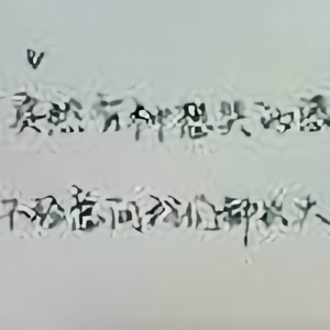 演绎鸢尾花的宿命头像