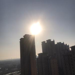 ZHY2p3R头像