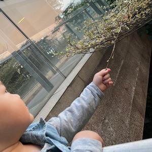 不知道是先生 头像