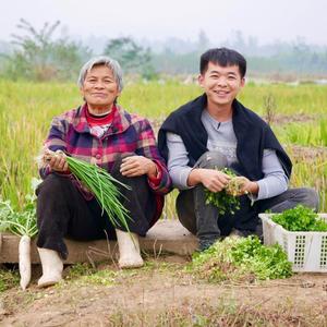 辉鸽的农村生活头像