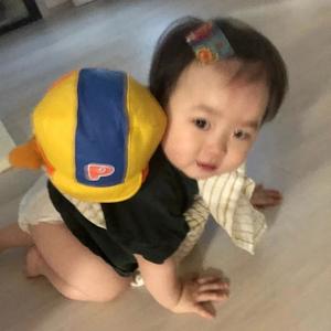 鲨鱼辣头像