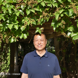 张永涛65头像