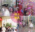 小辰辰成长记1头像