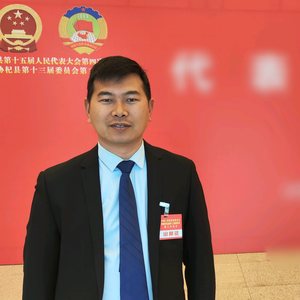 孟照阳头像