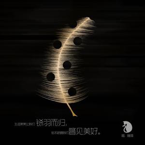 遥远的星芒头像
