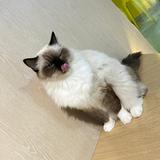 不忘初心一起成长头像