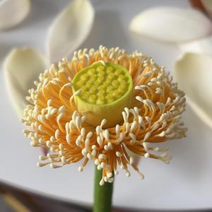 云果滇香头像
