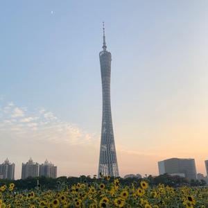 陈狼870头像