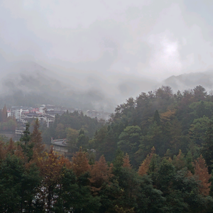 三色雨布头像