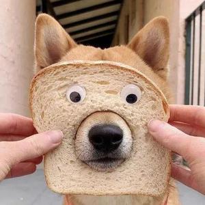 六耳聋猴头像
