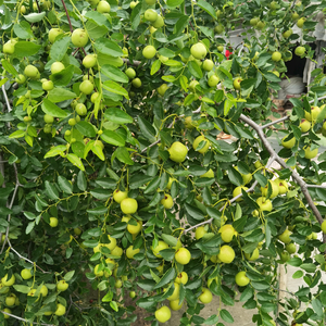 菏泽梦洁家纺和平路店头像