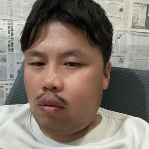 农村五狗头像