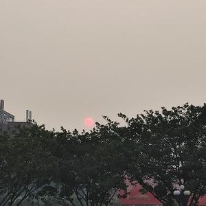 小何哥与尼泊尔头像