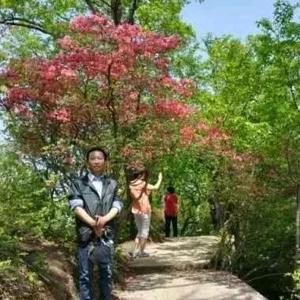 雁之南头像