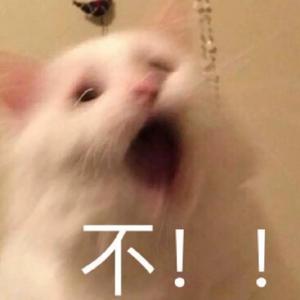 susuvdd头像