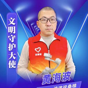 波波说桑植头像
