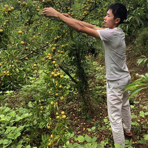 情感生活影视头像