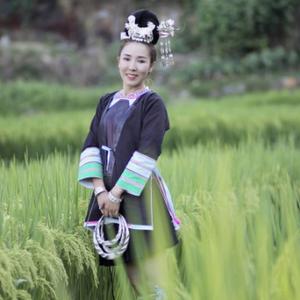 婢勤头像
