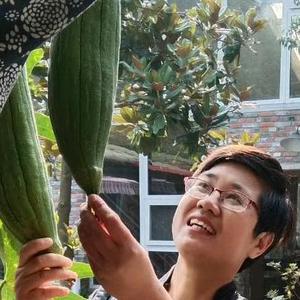 芬姐在努力头像