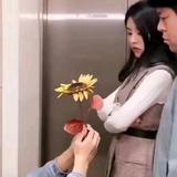 运筹帷幄幺妹儿333头像