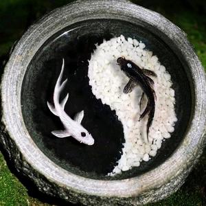石头的阴阳鱼头像