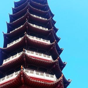 土圭圭头像
