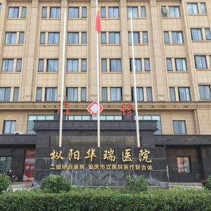 华瑞小南头像