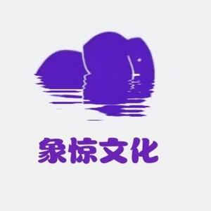 象惊了（情感师）头像