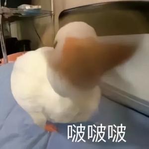 博学星辰yjjfyC头像