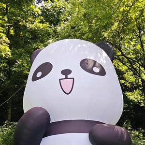 拘谨的旁观者头像